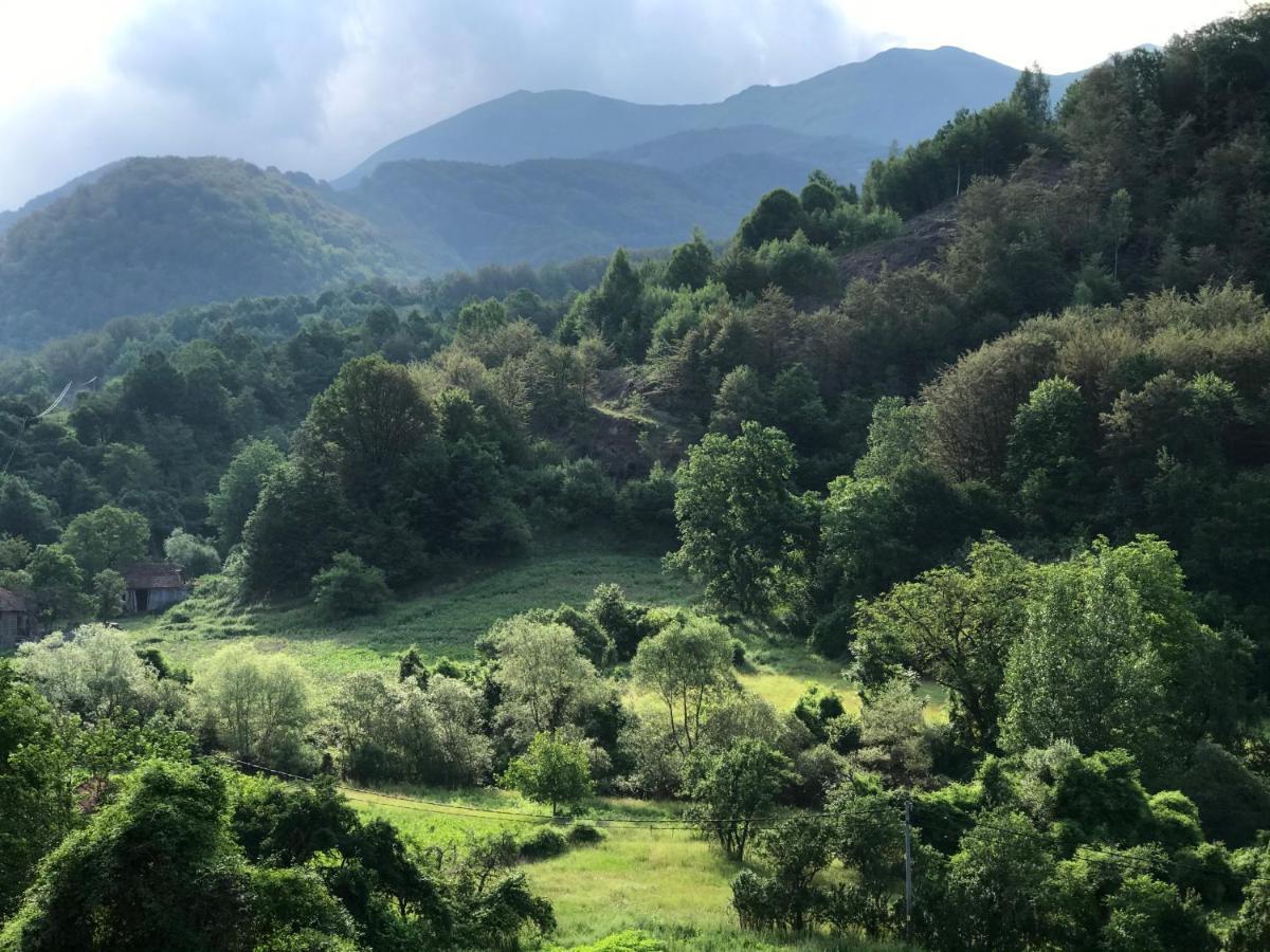 Aphrodite Hills Apartments-Stara Planina Crni Vrh Buitenkant foto