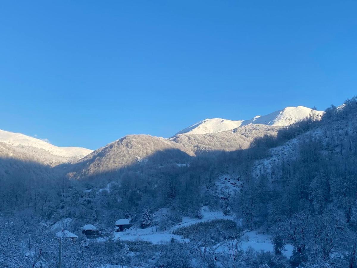 Aphrodite Hills Apartments-Stara Planina Crni Vrh Buitenkant foto