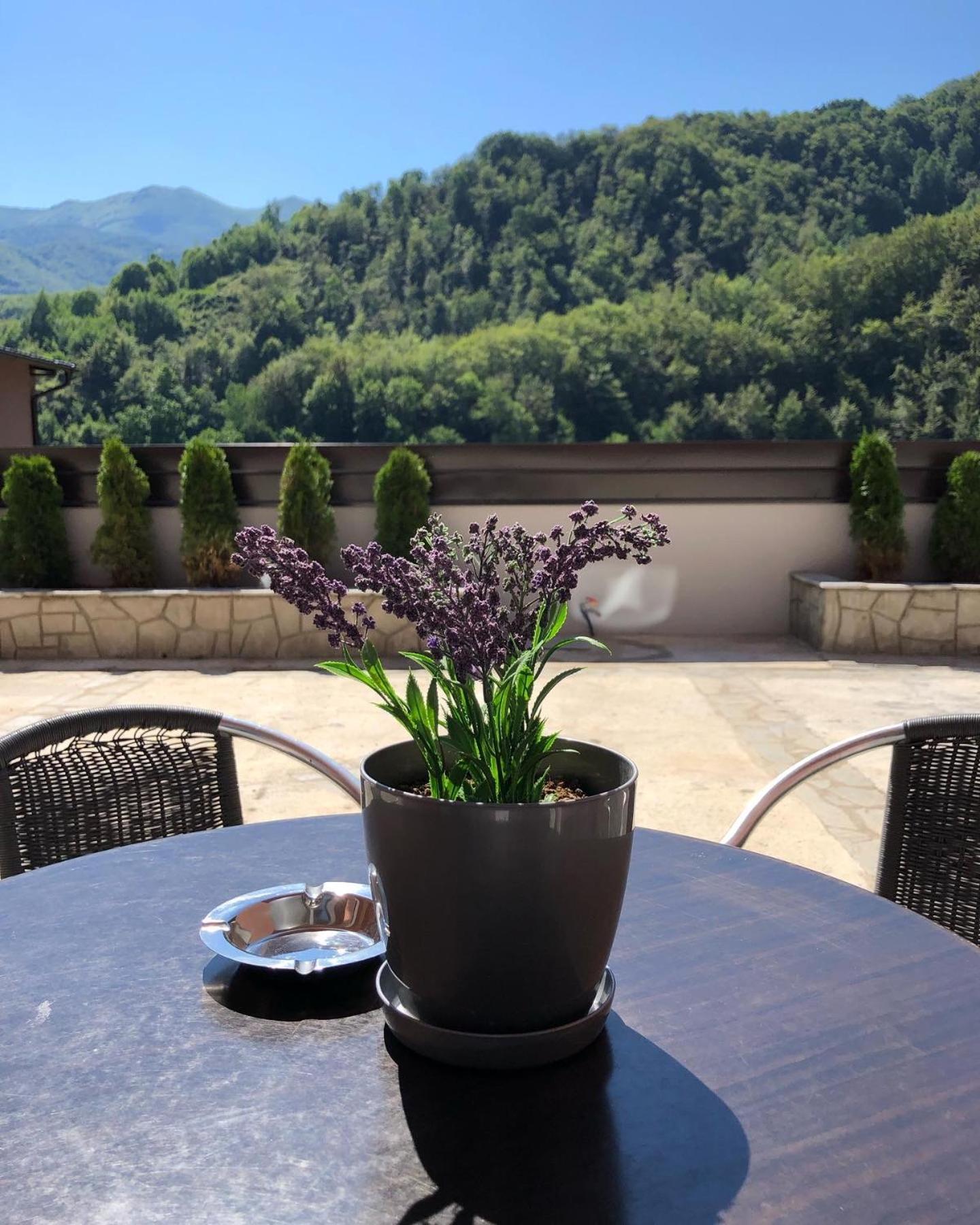 Aphrodite Hills Apartments-Stara Planina Crni Vrh Buitenkant foto
