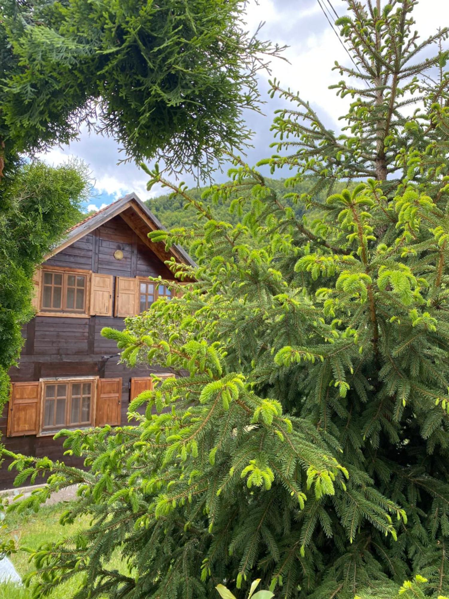 Aphrodite Hills Apartments-Stara Planina Crni Vrh Buitenkant foto